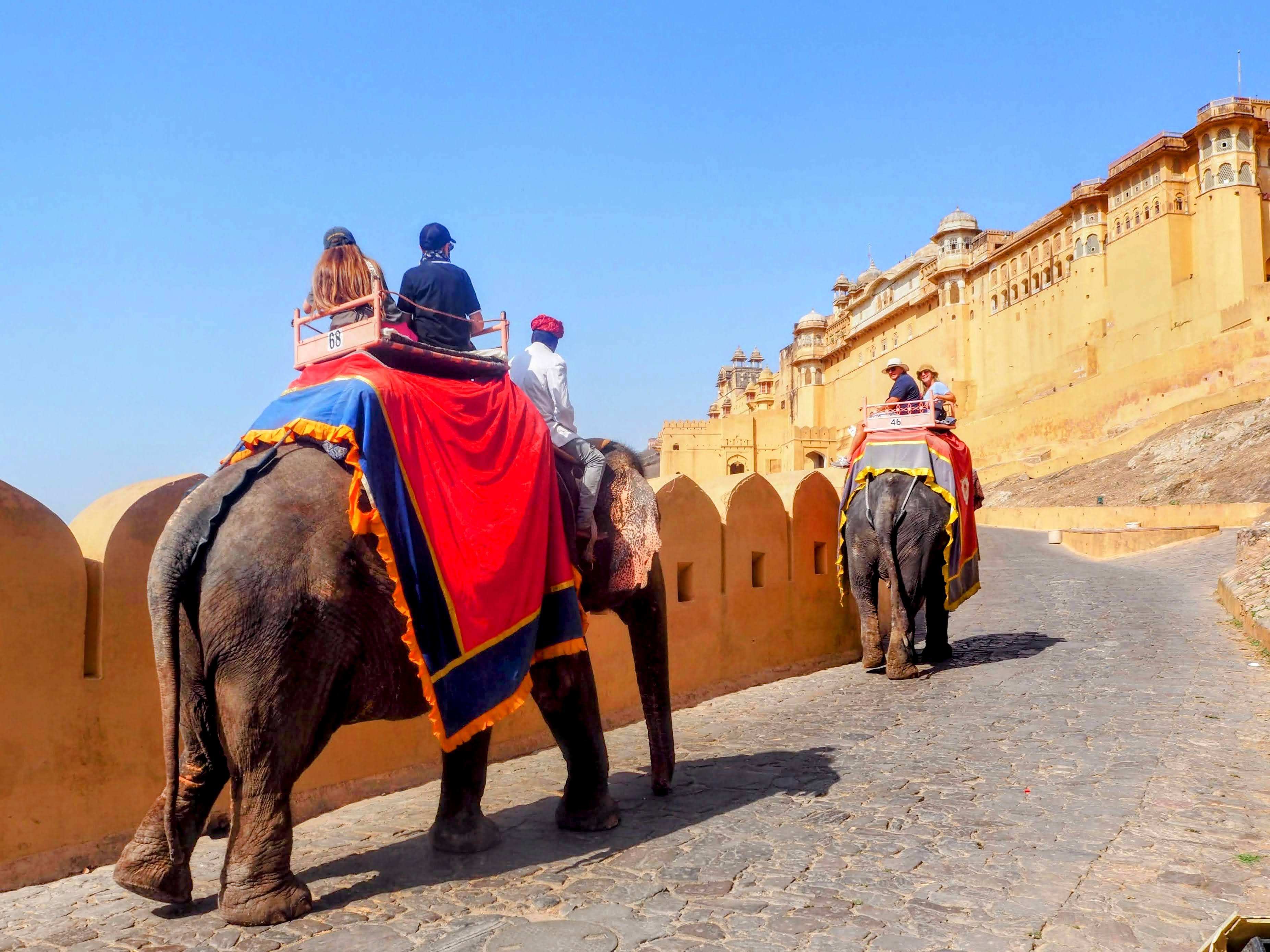 Amber Fort seen from the approach road, Jaipur, May 2025