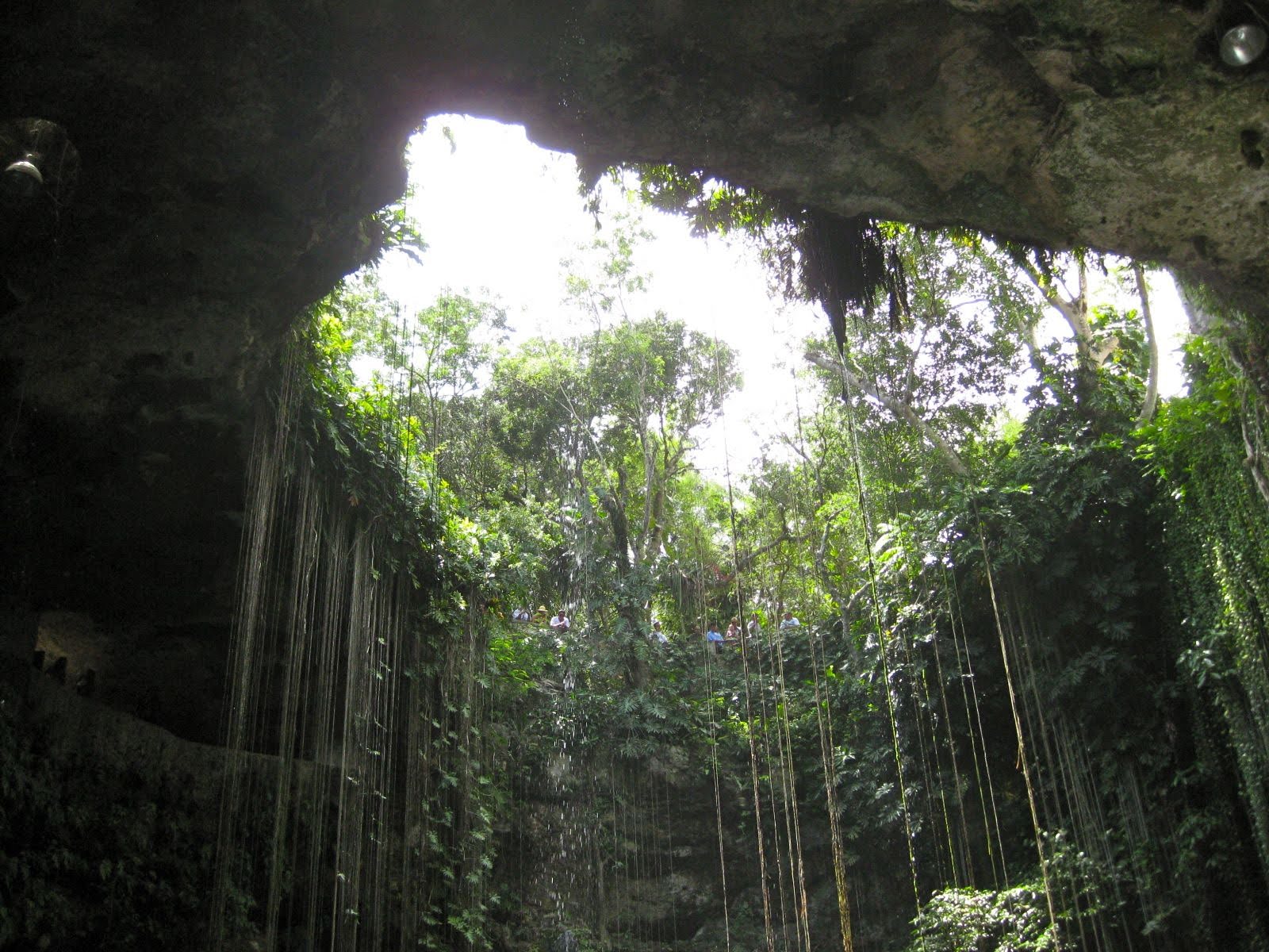 Cenote Ik Kil from above, with vines and natural light