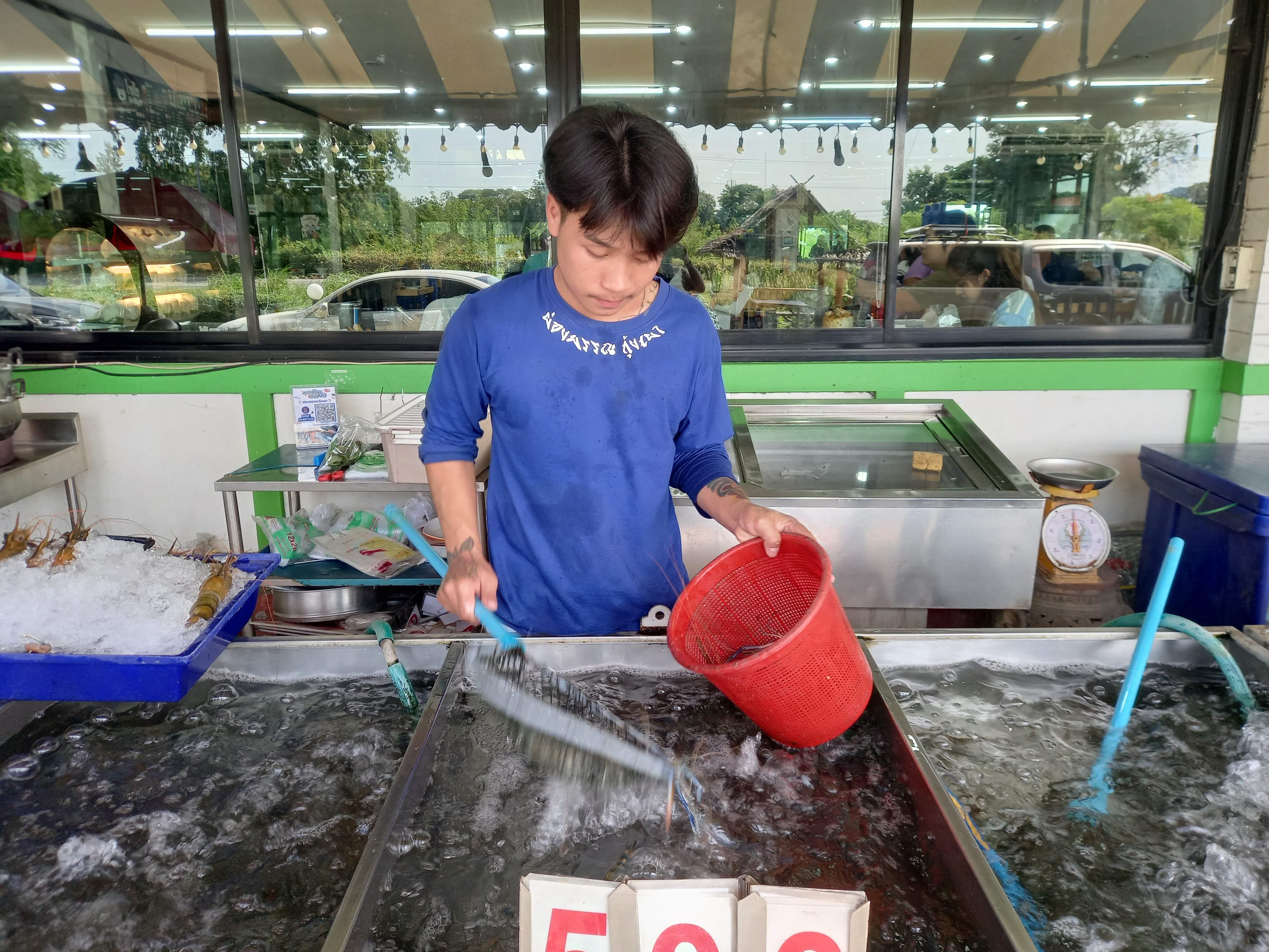 Fresh prawns being grilled on coal fire at riverside restaurant