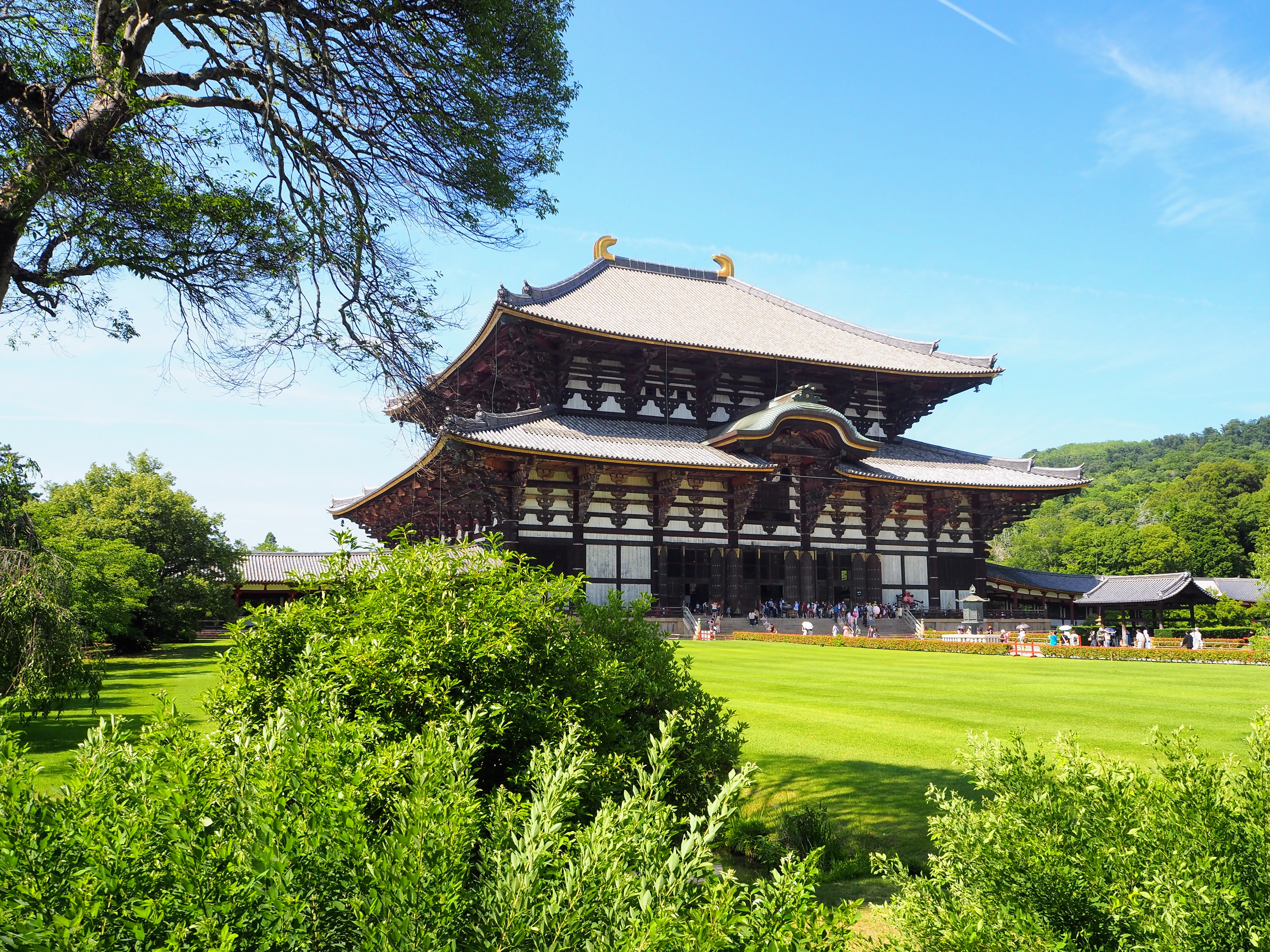 Ancient Nara World Heritage area with temple architecture and parkland